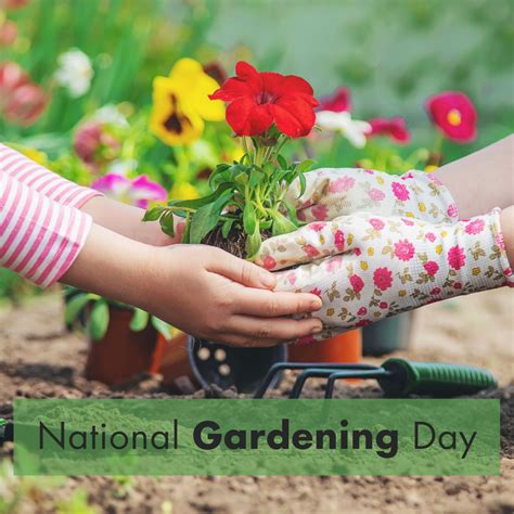 Happy National Gardening Day! Gardening is a fun & rewarding activity ...