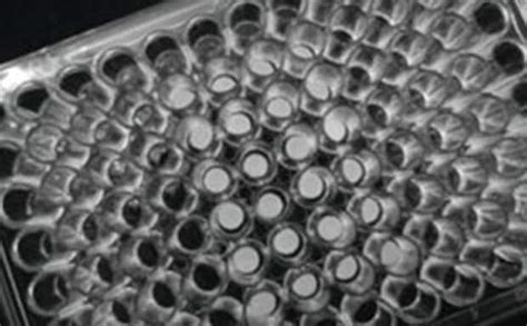 Cell Culture Supplies