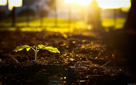 能量场 的图像结果