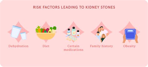 Stones To Solutions: A Kidney Stones Guide | Fluent Health