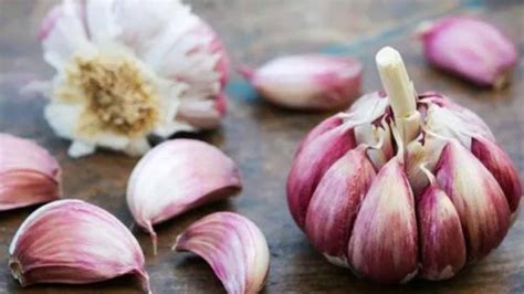 Six Benefits of Consuming Garlic