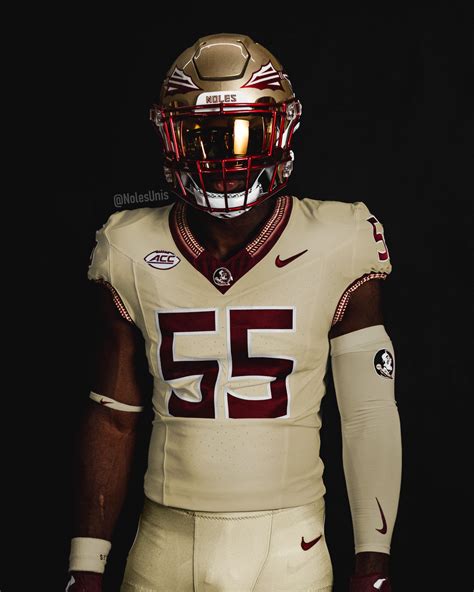 Fsu New Helmet