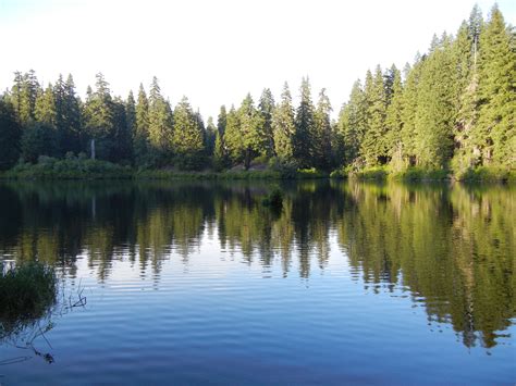 Peaceful Retreat at Clear Lake Resort