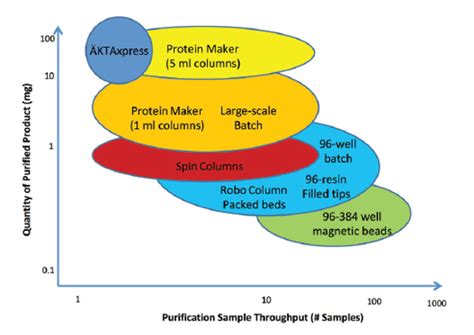 Affinity Purification 的图像结果
