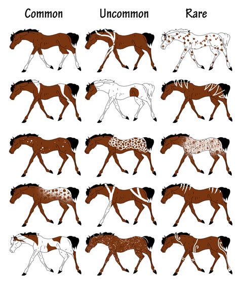 Horse Marking Chart