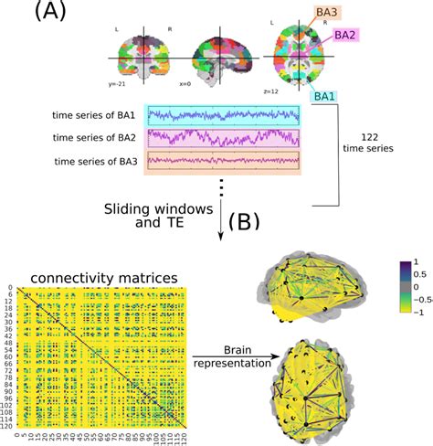 Image result for Complex Systems Examples