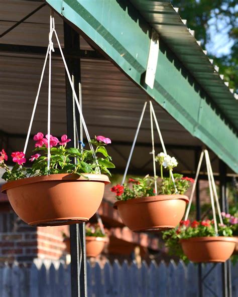 Easy Hanging Flower Pots | Hanging flower pots, Beautiful home gardens ...