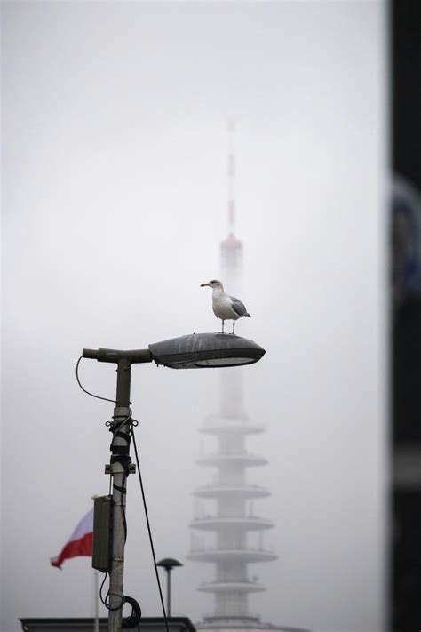 Boxing Wallpaper 4K 的图像结果