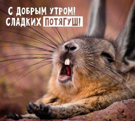 OIP.RwtZAtDb0YE2ipZf_zeiawHaGp