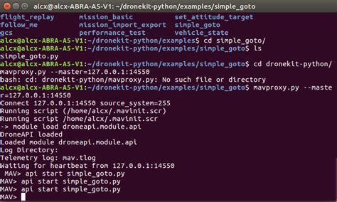 Dronekit Python Tutorial 的图像结果