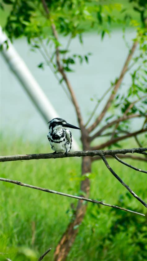 Cheap Places to Visit Near Ahmedabad in November 2024