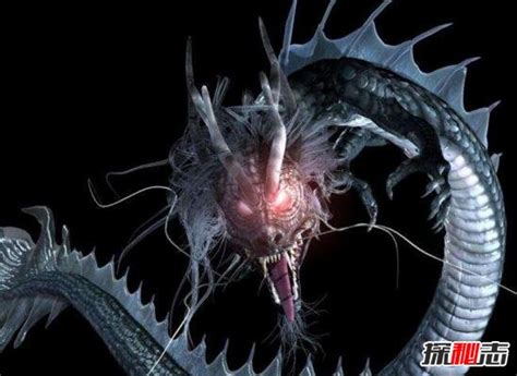 湖南蛇成龙真实事件,老汉竟看见真实巨蛇渡劫成龙_探秘志