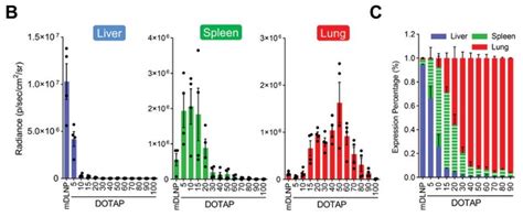 Approaches to the design of lipid-based nanocarriers