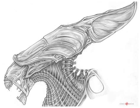 Alien Queen Movie 的图像结果