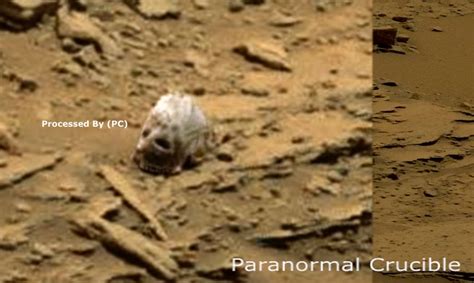 Image result for Alien Skull Found