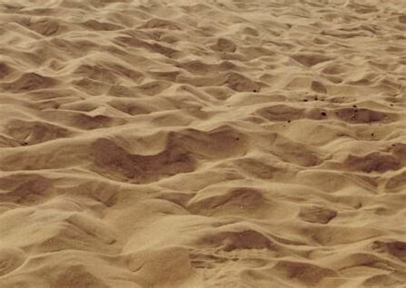 沙子价格多少钱一方？_中华沙子网