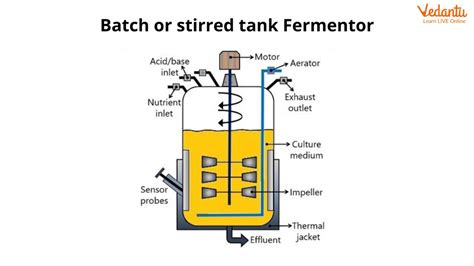 Image result for Continuous Fermentation