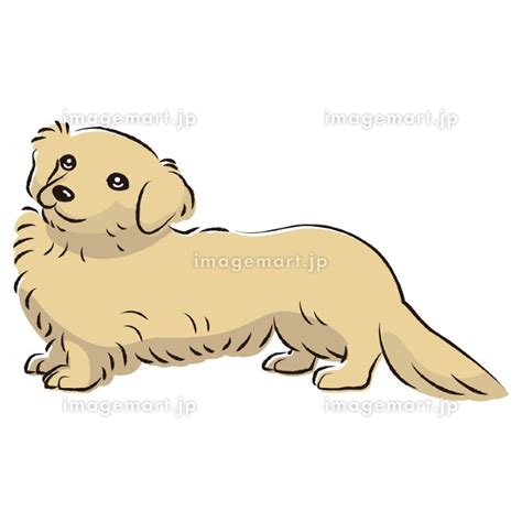 Image result for Perceptron Algorithm Example