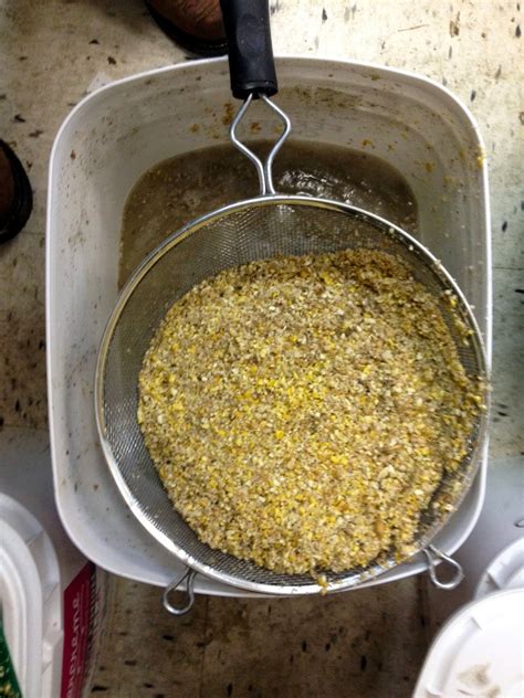 Alisha's Homesteading Blog: Fermented Chicken Feed