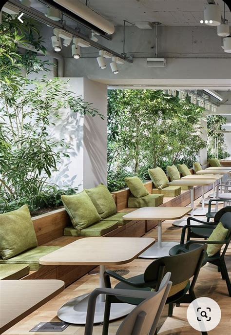 Cafe 的图像结果