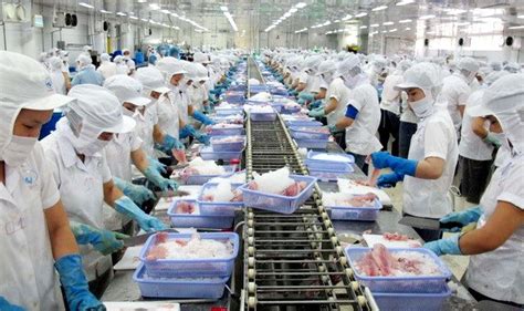 Image result for Modern Food Processing Technology