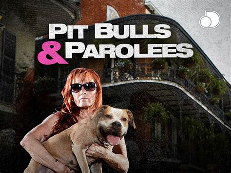 Prime Video: Pit Bulls & Parolees - Season 10