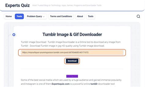 [2025] How to Download GIFs and Images From Tumblr