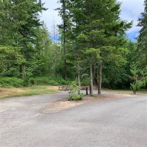 Alder Lake Campground | The Dyrt