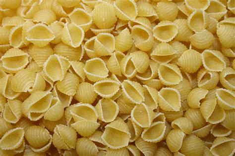Pasta Shells Sizes at Patrick Jefferson blog
