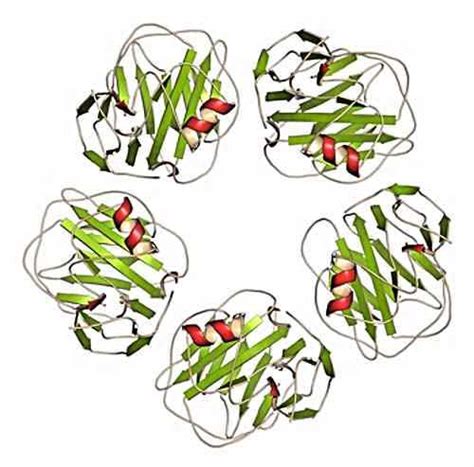Resultado de imagen de c reactive protein zu hoch