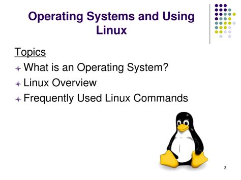 Computer Operating Systems Linux 的图像结果