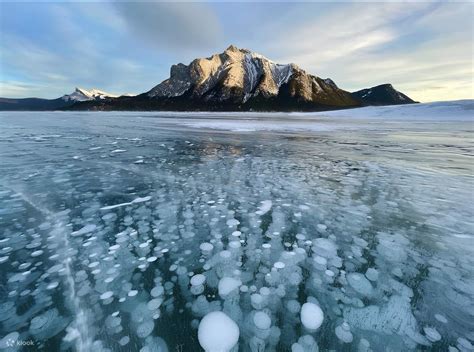 Abraham Lake Ice Bubbles and Peyto Lake Icefield Day Tour - Klook India