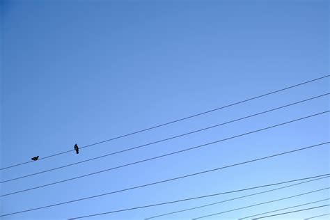 High Resolution Electrical Grid 的图像结果