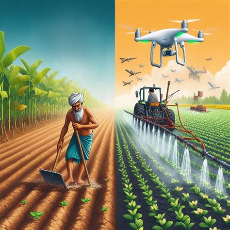 Pros of Soil Health in Agriculture: Tips for Optimal Soil Management - Kheti Buddy - Medium