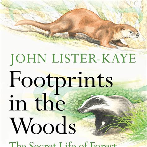 Footprints in the Woods - The Secret Life of Forest and Riverbank by John Lister-Kaye ...