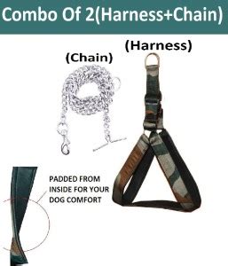 Hachiko Dog Collar & Chain Price in India - Buy Hachiko Dog Collar ...