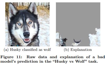 Ai 人工智能 可解释性 的图像结果