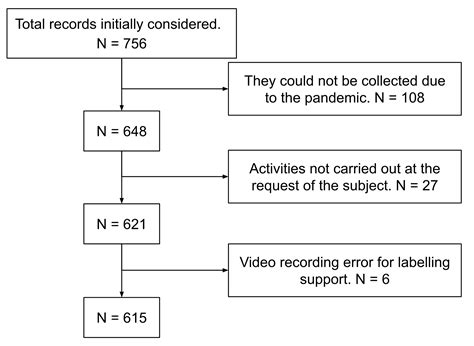 AnkFall—Falls, Falling Risks and Daily-Life Activities Dataset with an ...