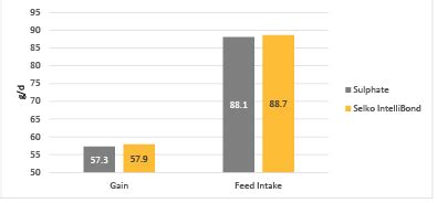 Hydroxy minerals feed boost broiler weights - Trouw Nutrition