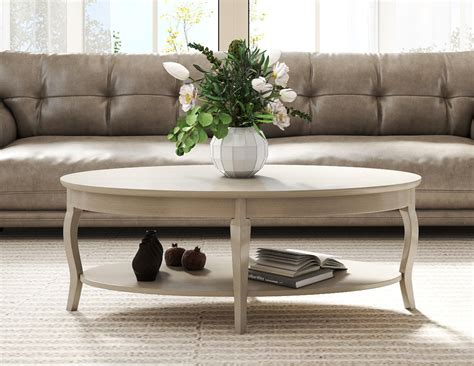 Janoray 47" Oval Coffee Table 2-Tier Coffee Table with Storage Shelf ...
