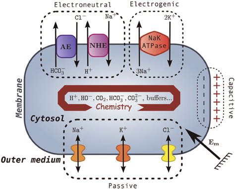 Image result for Capacitance Examples