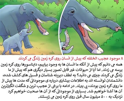 Image result for Evolution From Nothing Explained