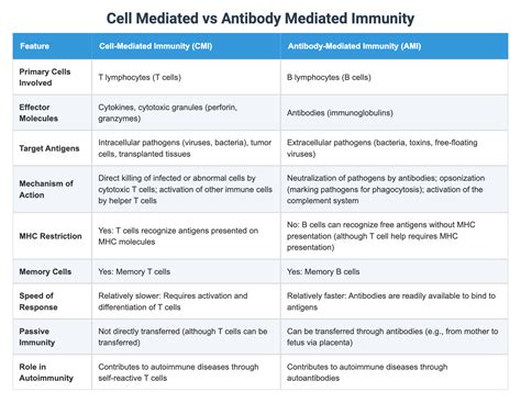Cell Mediated vs Antibody Mediated Immunity