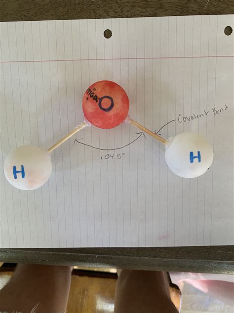 How To Make A Water Molecule Model Water Molecule Worksheet And 3D