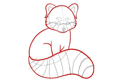 How to Draw a Red Panda | Design School