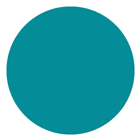 Image result for Circle Code in JSON Format