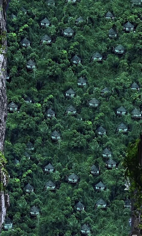 Hainan Bird’s Nest Hotel, hidden in the virgin forest in China : r/interestingasfuck