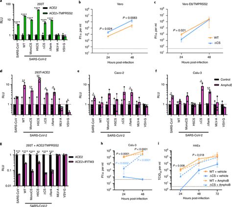 The efficient furin CS-dependent entry of SARS-CoV-2 is due to TMPRSS2 ...