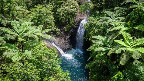 Fiji Nature Bucket List
