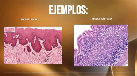 Image result for Informational Data Example